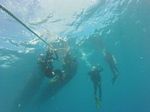 Hawaii Scuba divng 86