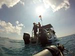 Hawaii Scuba divng 89