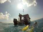 Hawaii Scuba divng 90