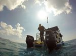 Hawaii Scuba divng 91