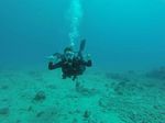 Hawaii Scuba divng 92