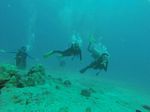 Hawaii Scuba divng 95