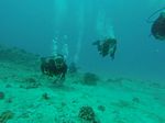 Hawaii Scuba divng 96