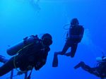 Hawaii Scuba divng 12