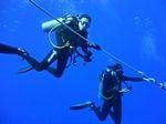 Hawaii Scuba divng 27