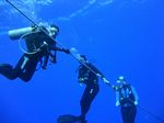 Hawaii Scuba divng 28