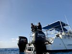 Hawaii Scuba divng 36