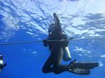 Hawaii Scuba divng 37