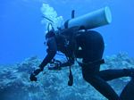 Hawaii Scuba divng 43