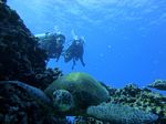 Hawaii Scuba divng 45