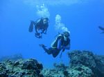 Hawaii Scuba divng 48