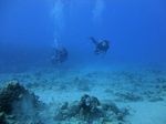 Hawaii Scuba divng 49