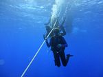 Hawaii Scuba divng 04