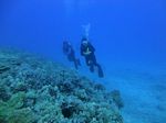 Hawaii Scuba divng 51