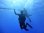 Hawaii Scuba divng 05