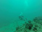 Hawaii Scuba divng 11