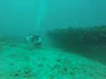 Hawaii Scuba divng 13