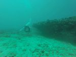 Hawaii Scuba divng 14
