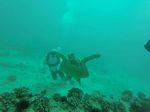 Hawaii Scuba divng 25