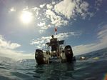 Hawaii Scuba divng 31