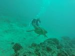 Hawaii Scuba divng 33