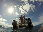 Hawaii Scuba divng 42