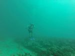 Hawaii Scuba divng 06