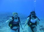 Hawaii Scuba divng 13