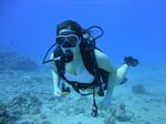 Hawaii Scuba divng 14