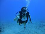 Hawaii Scuba divng 16