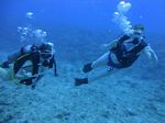 Hawaii Scuba divng 17