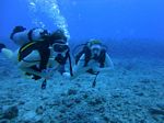 Hawaii Scuba divng 23