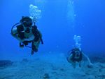 Hawaii Scuba divng 24