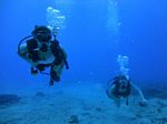 Hawaii Scuba divng 24