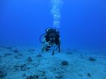 Hawaii Scuba divng 25