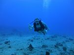 Hawaii Scuba divng 26