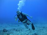 Hawaii Scuba divng 27