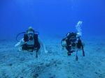 Hawaii Scuba divng 29