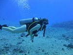 Hawaii Scuba divng 30