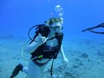 Hawaii Scuba divng 31