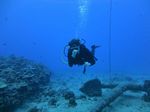 Hawaii Scuba divng 40