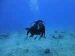 Hawaii Scuba divng 45