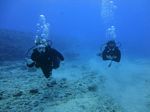 Hawaii Scuba divng 47