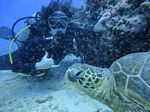 Hawaii Scuba divng 52