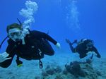 Hawaii Scuba divng 54