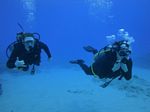 Hawaii Scuba divng 56