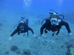 Hawaii Scuba divng 65