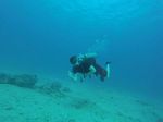 Hawaii Scuba divng 10