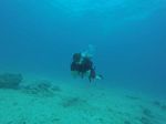 Hawaii Scuba divng 11