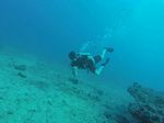 Hawaii Scuba divng 12